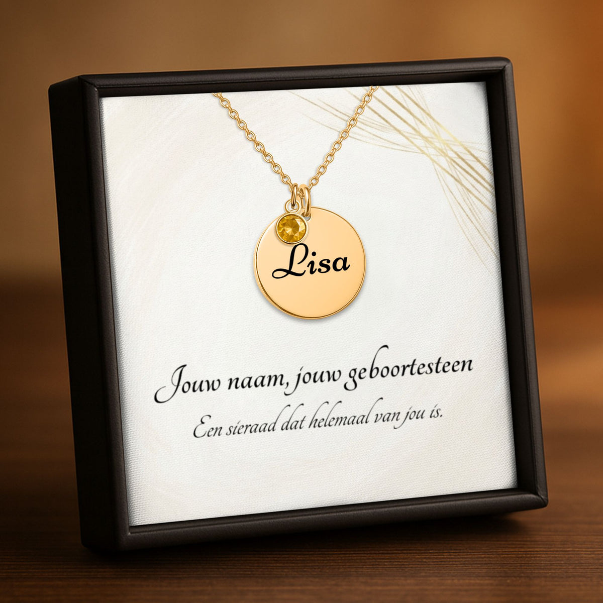 Coin Necklace with Birthstone